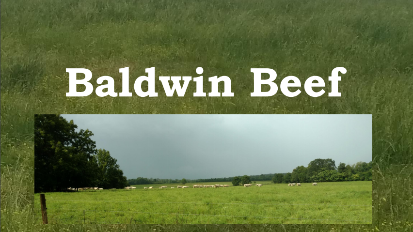 Meet Baldwin Beef