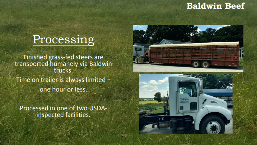 Baldwin Beef Processing